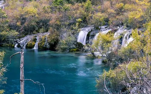 无人化智能化